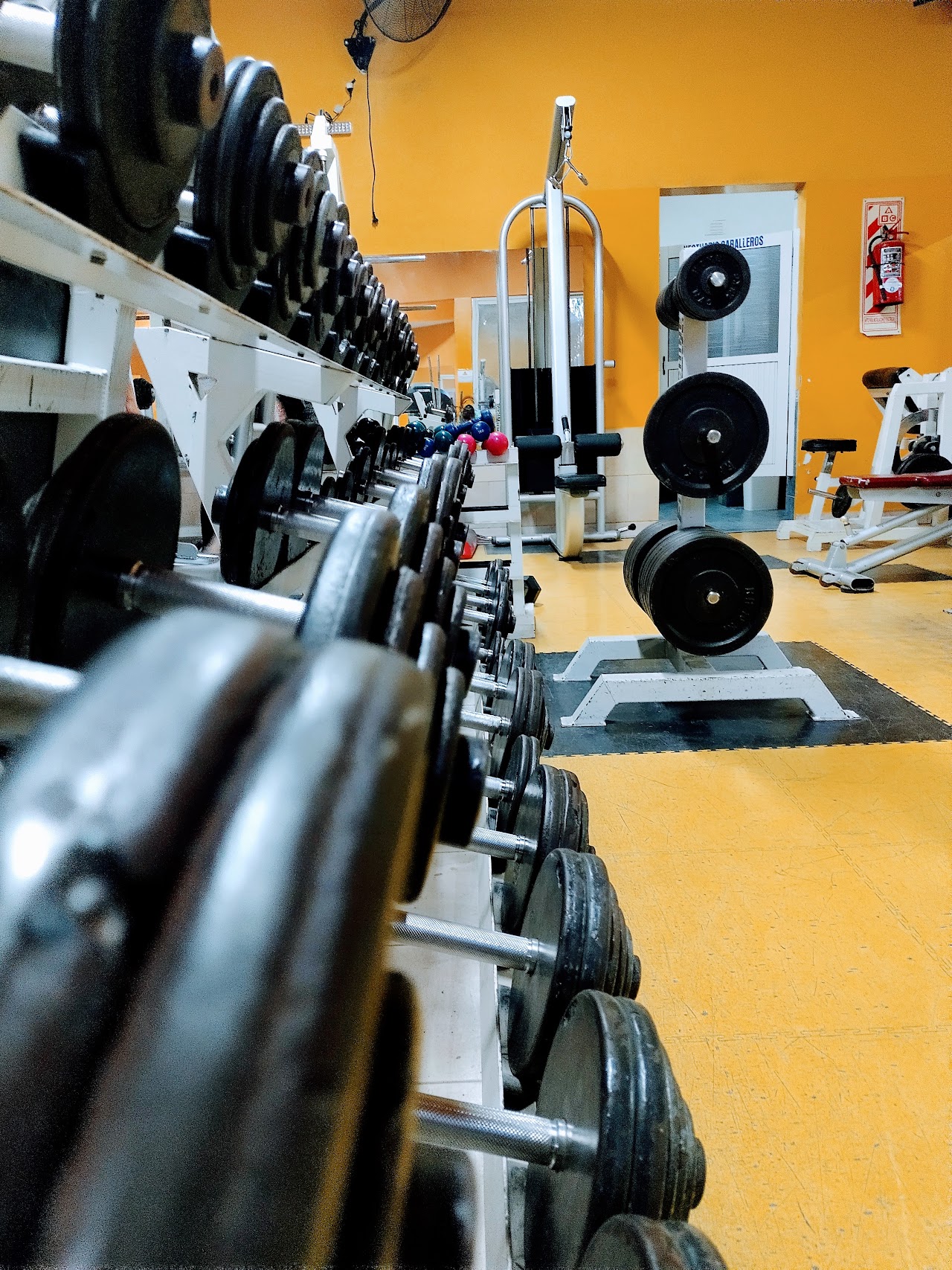 Sector de pesas de Gimnasio TIEMPO